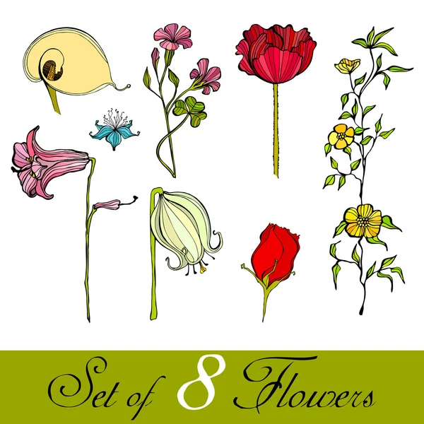 Conjunto de flores lindas ilustradas —  Fotos de Stock