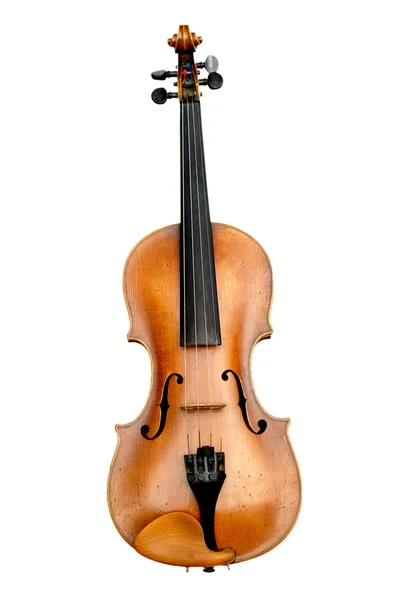 Violino Imagem De Stock