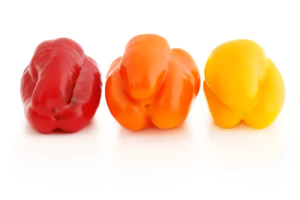 Peperoni a tre colori — Foto Stock