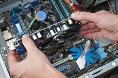 Technician setting a video card to the mother-board of a personal computer