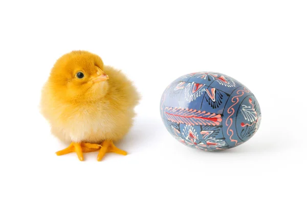 Baby-chicken and Easter egg — Stock Photo, Image