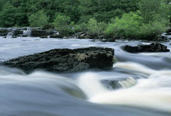 River stream — Stock Photo, Image