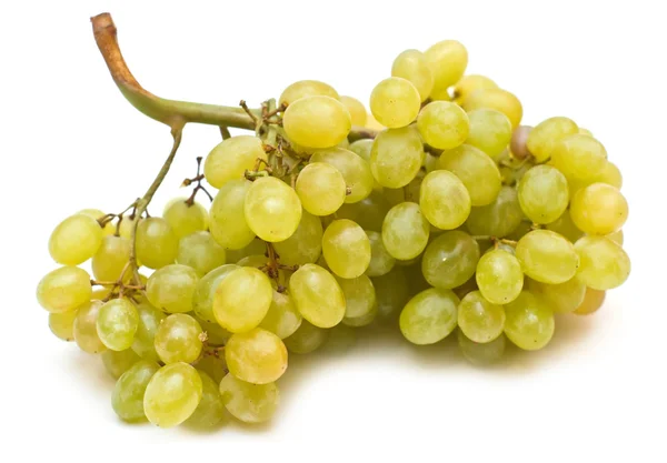 stock image Grape isolated