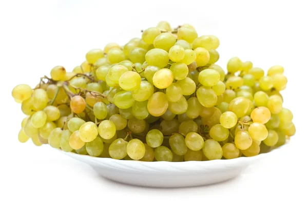 stock image Grape isolated