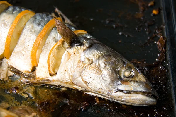 stock image Grilled fish