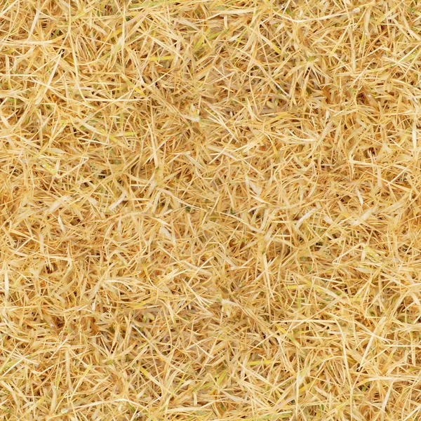 Kesintisiz sarı çim dokusu Döşe — Stok fotoğraf