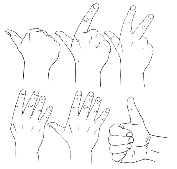 Подсчет пальцев — стоковый вектор