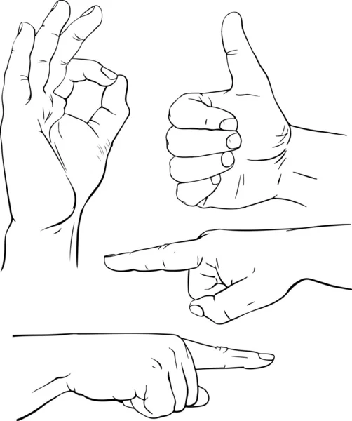 矢量插图的人类的手的各种姿势 — 图库矢量图片