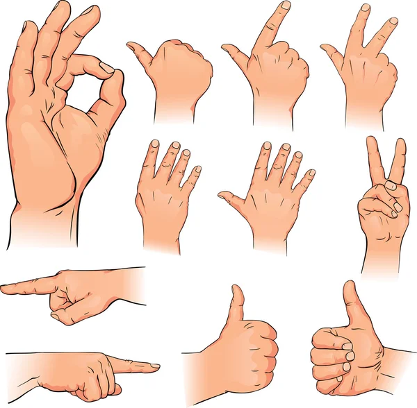 人类的手的各种姿势 — 图库矢量图片