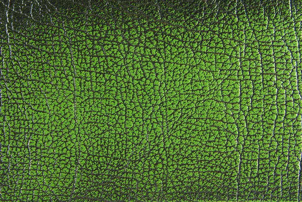 Yeşil deri — Stok fotoğraf