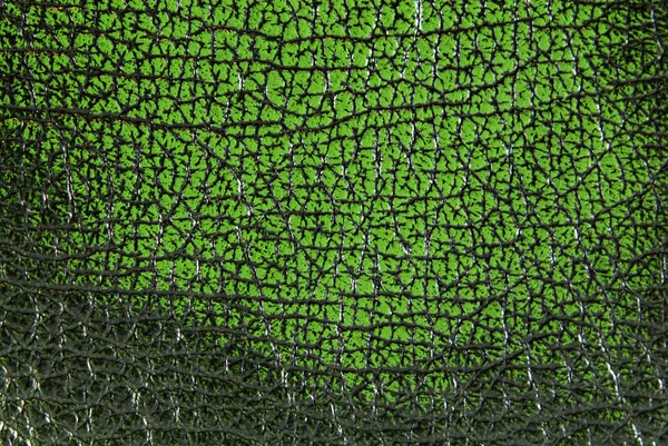 Tekstur kulit hijau — Stok Foto