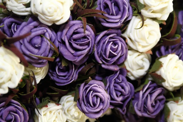 紫色和白色的玫瑰 — 图库照片
