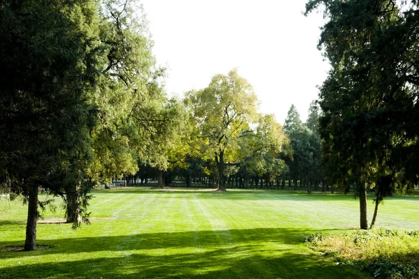 stock image Lawn With Trees