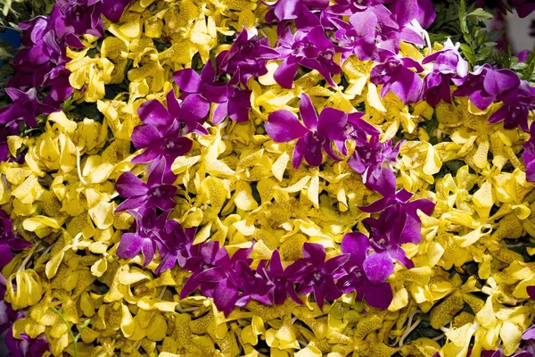 Virágok díszítik — Stock Fotó