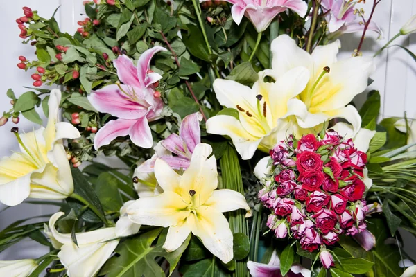 Mooie bloeiende bloem — Stockfoto