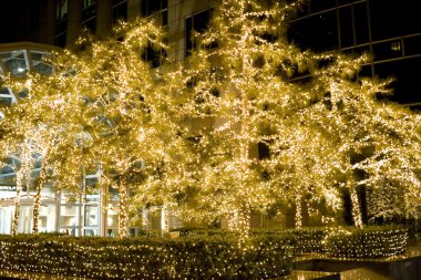 güzel christmas dekorasyon gece sahnelerinde ağaçlar