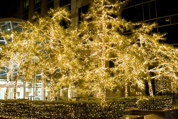 Pięknych Świątecznych Dekoracji Drzew Sceny Nocne — Zdjęcie stockowe