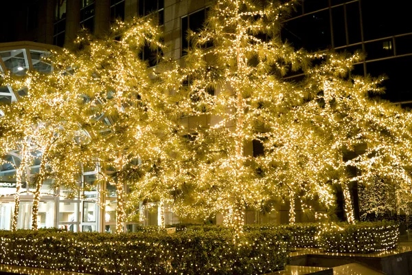 Schöne Weihnachtsdekoration Bäume Nacht Szenen — Stockfoto