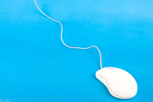 stock image A computer mouse resting on the blue background