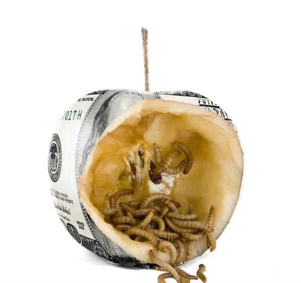 Червь есть яблоко доллара США — стоковое фото