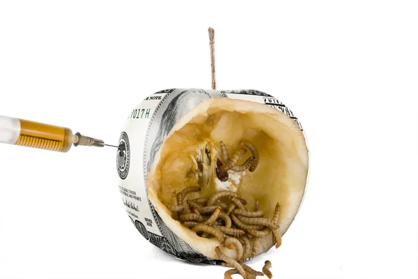 Червь ест яблоко за доллар США со шприцем — стоковое фото