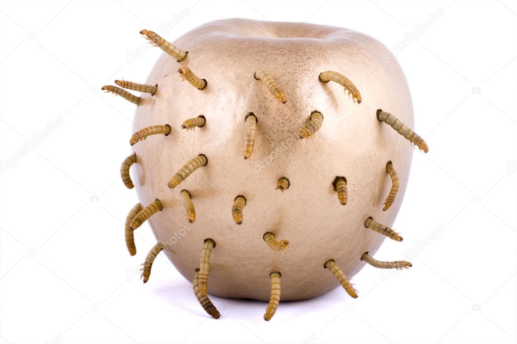 Golden apple and worm on white background