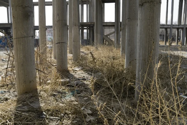 Edificio Abandonado Con Columnas Que Forman Pasillo —  Fotos de Stock