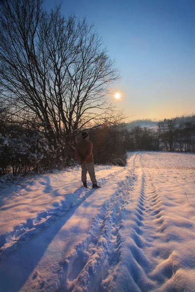 Montanha Jelica Sérvia Central Região Shumadija Morava Ocidental Temporada Inverno — Fotografia de Stock