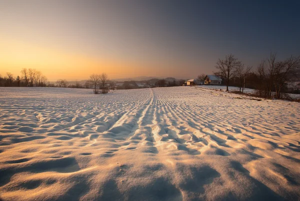 Snö fältet — Stockfoto