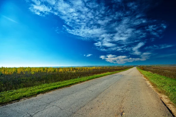 Stock image Autumn landscape