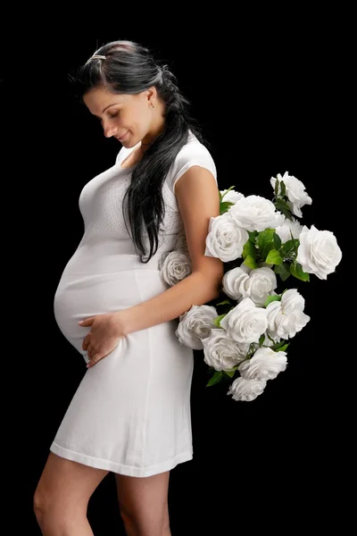 Těhotná Růže Černém Pozadí — Stock fotografie