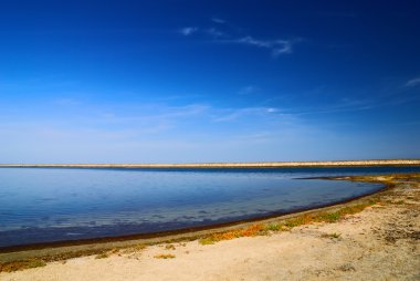 Lake in Arabat Spit clipart