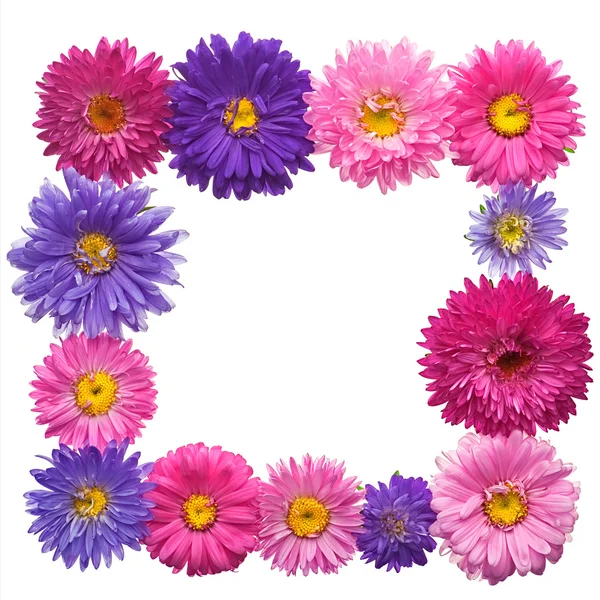 stock image Frame of flowers