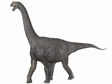 Camarasaurus-3d dinazor