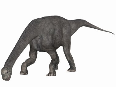 Camarasaurus-3d dinazor