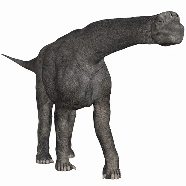 Dinozaur Camarasaurus-3d — Zdjęcie stockowe