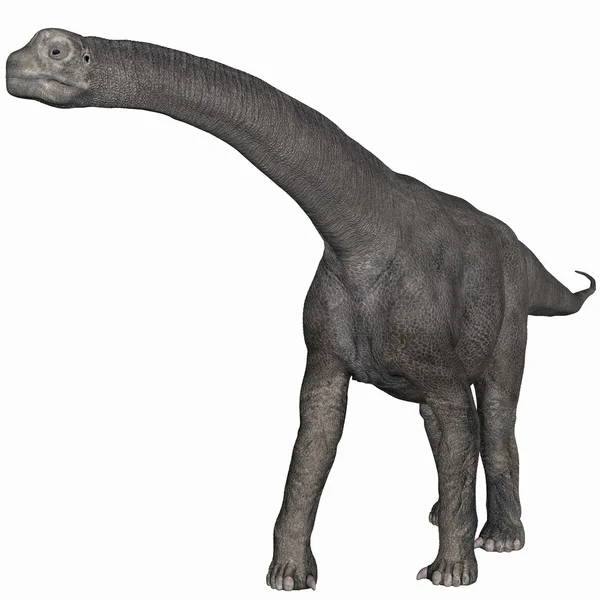 Dinosauro di Camarasaurus-3D — Foto Stock