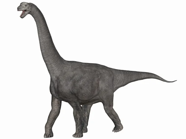 Dinosaurio Camarasaurus-3D —  Fotos de Stock