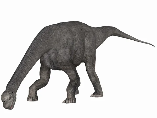 Camarasaurus-3D Diner — стоковое фото