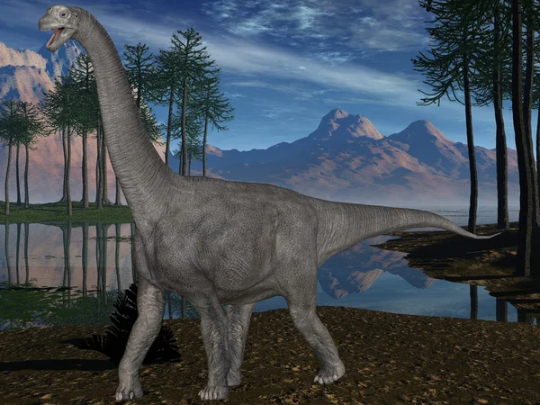 Dinosaurio Camarasaurus-3D — Foto de Stock