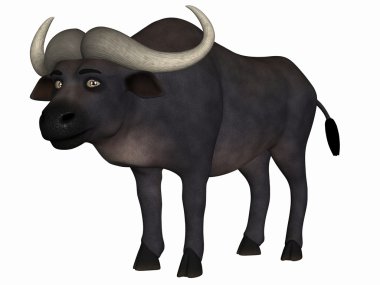 Toon Buffalo