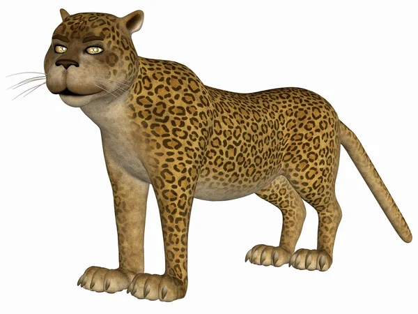 Toon Leopard — Stock Photo, Image