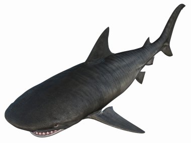Tigershark