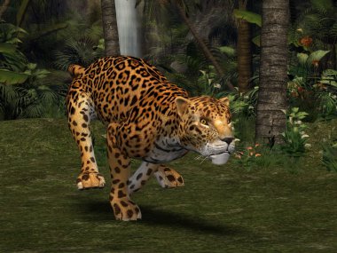 Jaguar