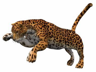 Jaguar