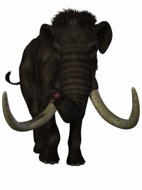 Mammoth clipart