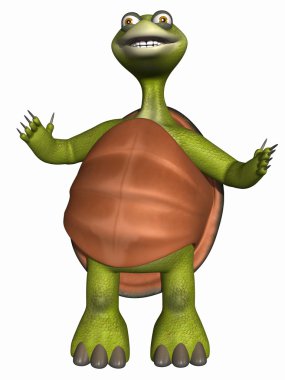 Toon kaplumbağa