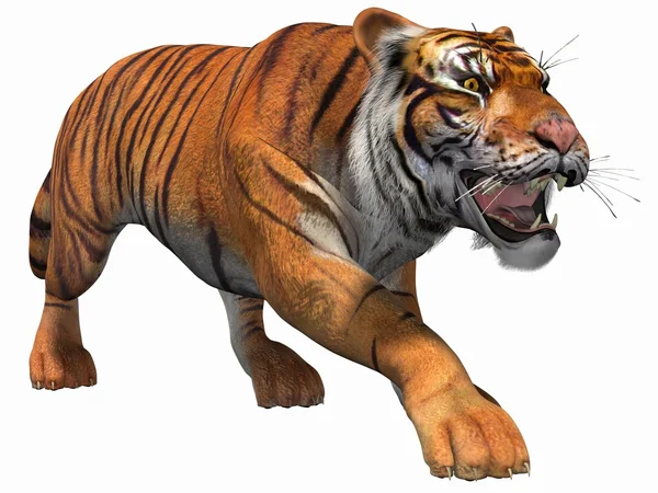 Tigre 3D — Foto de Stock