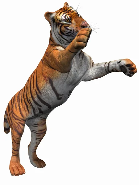 Тигр 3d — стокове фото