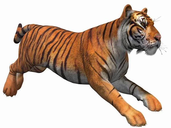 Тигр 3d — стокове фото